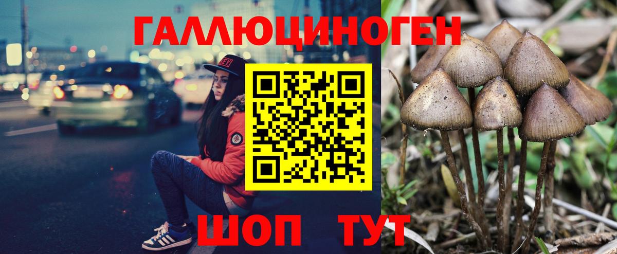 Псилоцибиновые грибы Magic Shrooms  Вход с VPN  Александров  как найти наркотики  Галлюциногенные грибы мухоморы 
